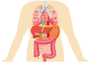 腹腔鏡手術