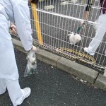 昼休みにがんばっています
