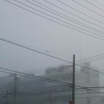 駐車場から、病院が…
