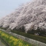 青空が欲しかった…