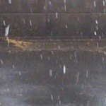 雪だけに集中！