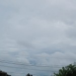 雨に濡れピカピカ！ (1)