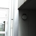 右上の暗いところにツバメの巣