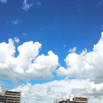 DSC_1506