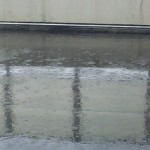 雨にも負けず…！？