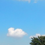 可愛らしい雲がポツリ♡