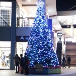 夜にはツリーも変身！