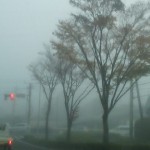 今朝、車の中より