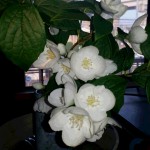 20160526_055455