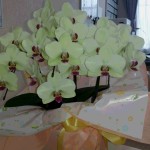 20160531_103824