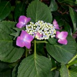 20160602_070935