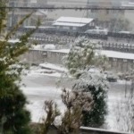20161124_080752